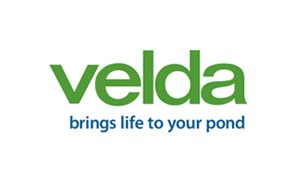 Velda